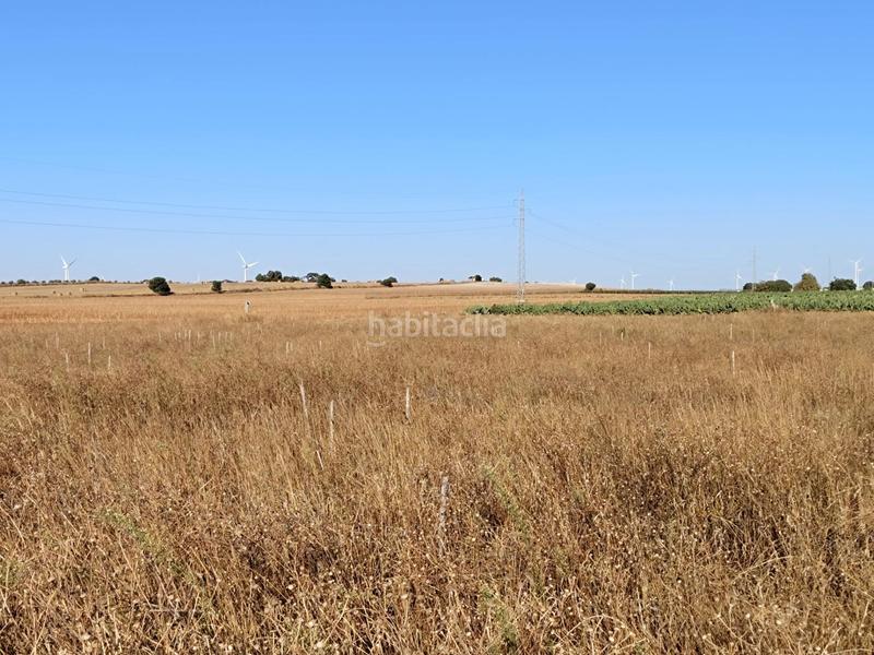 Foto 547cac93-bc4e-4023-94e9-7f7d37188543. Fondo rustico in Villanueva Golf Puerto Real