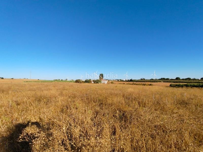 Foto a7e92d53-c99b-4ec3-98e3-be99185d836e. Fondo rustico in Villanueva Golf Puerto Real