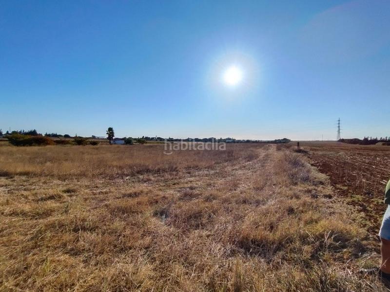 Foto 660b80b7-7cbd-4b6e-a2df-380b33ad9f4f. Finca rústica a Villanueva Golf Puerto Real