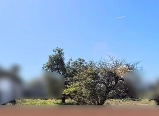 Terreno residenziale in Núcleo urbano. Se venden 4 parcelas urbanas entre la soledad y el campito