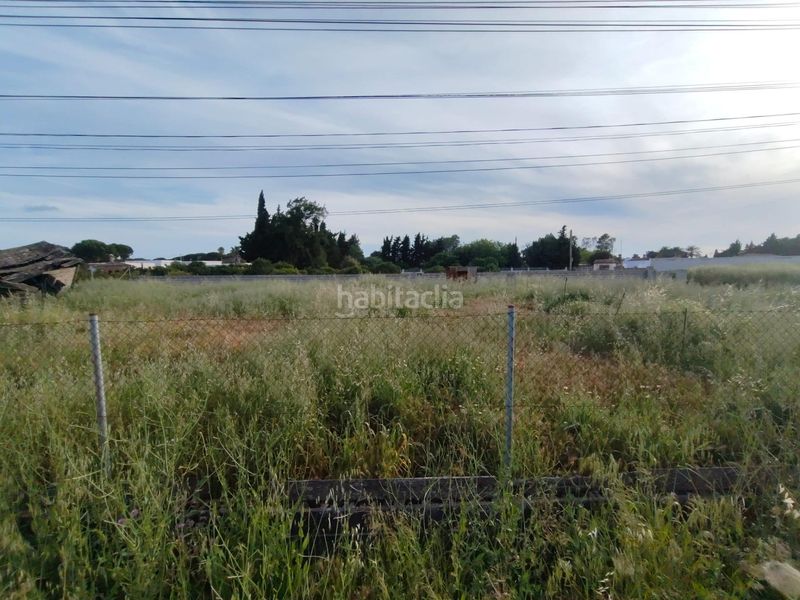Foto 2f4c3b2f-7669-4a11-a964-1294a51493dc. Finca rústica a Pelagatos - Pago del Humo Chiclana de la Frontera