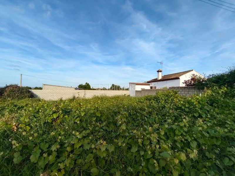 Foto 0f3df210-4722-45a6-be34-5f2072e98e52. Finca rústica a Pelagatos - Pago del Humo Chiclana de la Frontera
