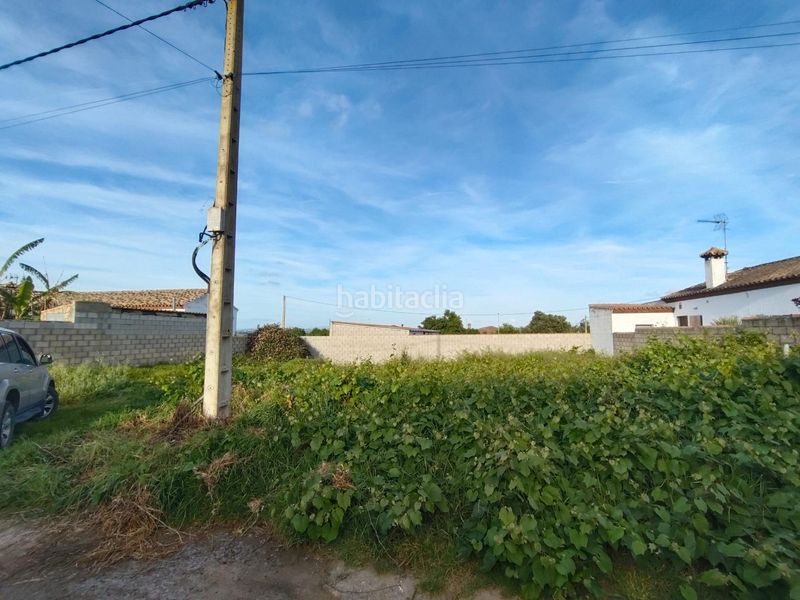 Foto 132c1ee1-67ea-486c-90bb-f57e84a07972. Finca rústica a Pelagatos - Pago del Humo Chiclana de la Frontera