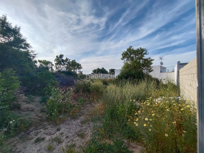 Foto 4b55b588-63a3-4b3d-a364-f05d1de6556a. Finca rústica a Pelagatos - Pago del Humo Chiclana de la Frontera