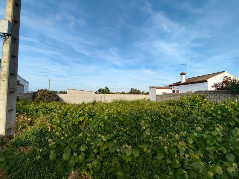 Foto 4c329808-1ffe-4bd9-8c6f-23297eedca12. Finca rústica a Pelagatos - Pago del Humo Chiclana de la Frontera