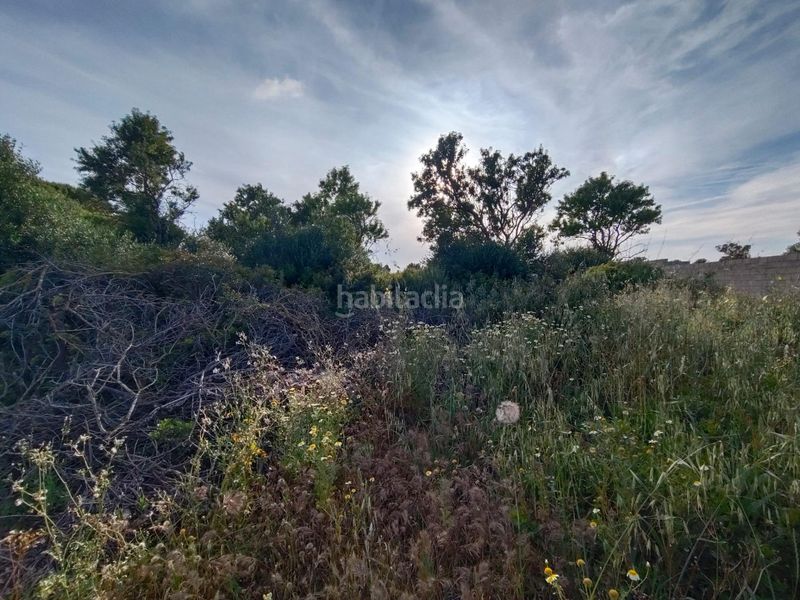 Foto 924063d4-65ea-4d32-b323-0d46c28b03ae. Finca rústica a Pelagatos - Pago del Humo Chiclana de la Frontera
