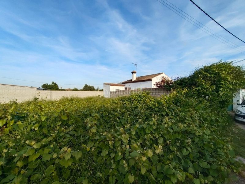 Foto e7ae4571-4ba0-4f11-891c-31f2f6c55086. Finca rústica a Pelagatos - Pago del Humo Chiclana de la Frontera