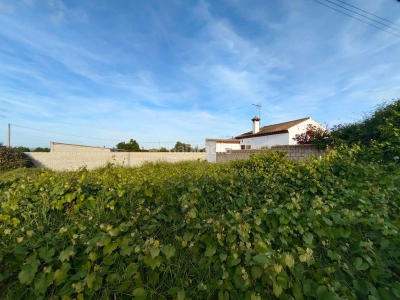 Foto eb99b137-7f82-47ef-9506-899e1efaebad. Finca rústica a Pelagatos - Pago del Humo Chiclana de la Frontera
