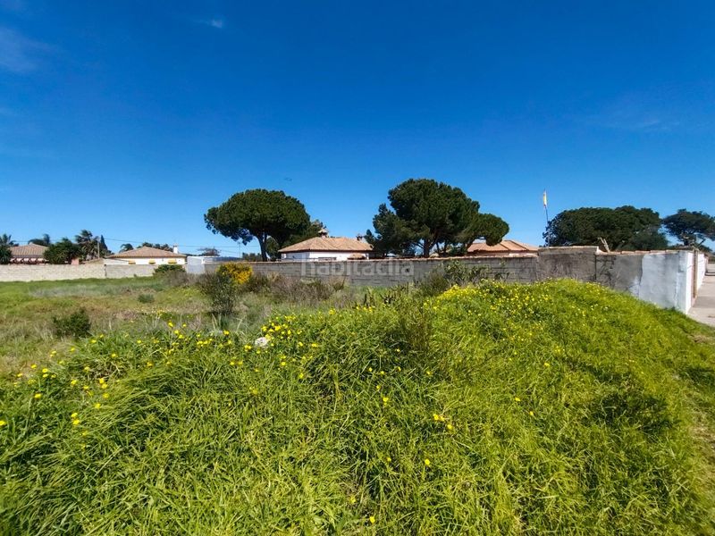 Foto 4bd52668-6e7f-4f51-8f2d-66576d02b183. Finca rústica a Las Lagunas - Campano Chiclana de la Frontera
