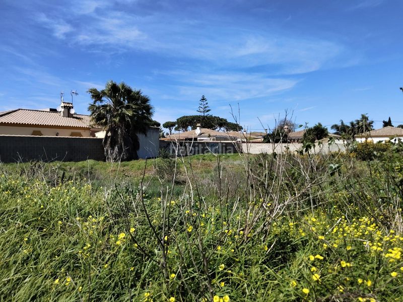 Foto b8ef1d7d-e96f-4525-9805-80808276121b. Finca rústica a Las Lagunas - Campano Chiclana de la Frontera
