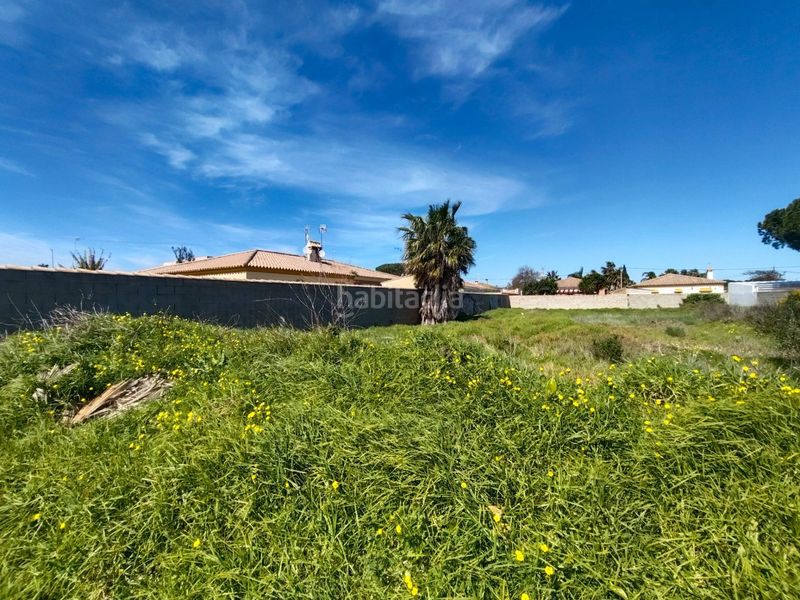 Foto c4fd0f3c-08a3-46d8-a20a-1777be459194. Finca rústica a Las Lagunas - Campano Chiclana de la Frontera