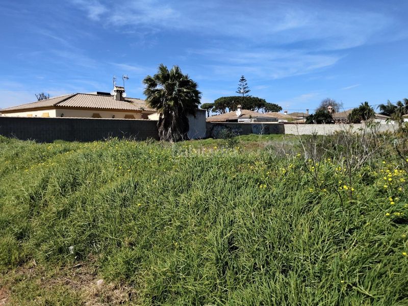 Foto f726c994-3456-4030-beed-4071fbace77a. Finca rústica a Las Lagunas - Campano Chiclana de la Frontera