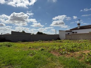 Finca rústica a Pelagatos - Pago del Humo