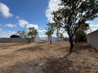 Finca rústica en Pelagatos - Pago del Humo. Parcela rústica en venta en pago del humo