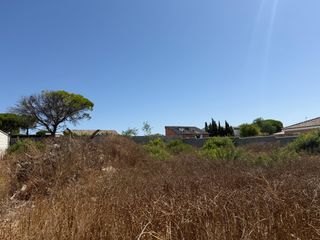 Finca rústica a Las Lagunas - Campano