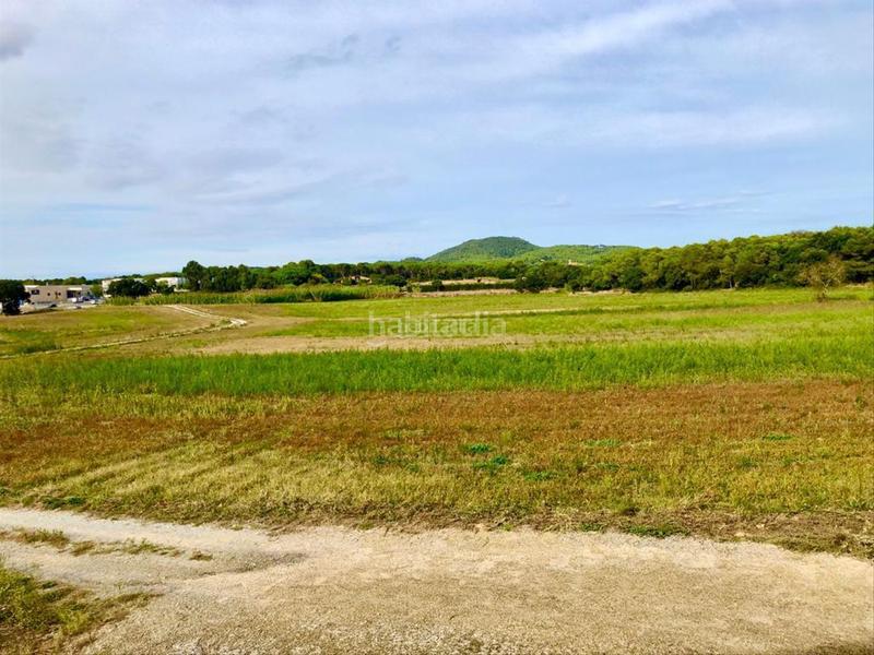 Foto 6f2cee31-e844-4911-9fcb-a4a71f9e5941. Masia a Regencós