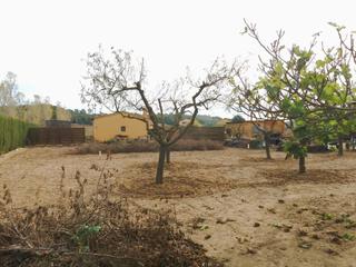 Masia a Residencial Begur-Esclanyà. Terreno rústico con barraca