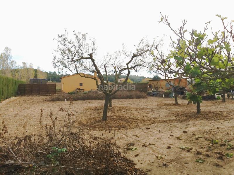 Foto 92dff385-5c10-4a3c-a80f-b0a39bf6d39b. Masía terreno rústico con barraca en residencial Begur-esclanyà Begur