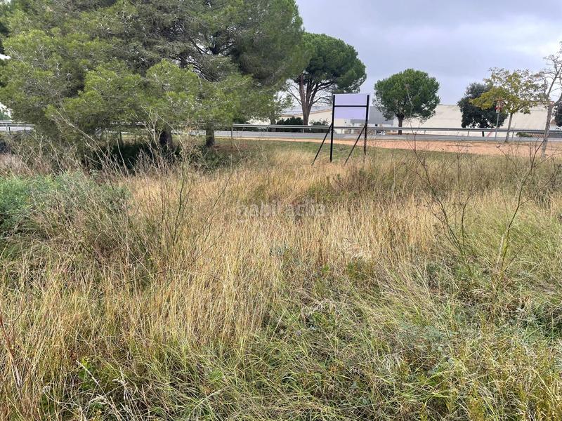 Foto 1ebb407d-ee1a-40b9-bada-3dda5680ba78. Terreny residencial a La Punxa Palafrugell