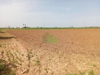 Terreny residencial a Puebla de la Calzada. Venta de terreno de regadio en puebla de la calzada