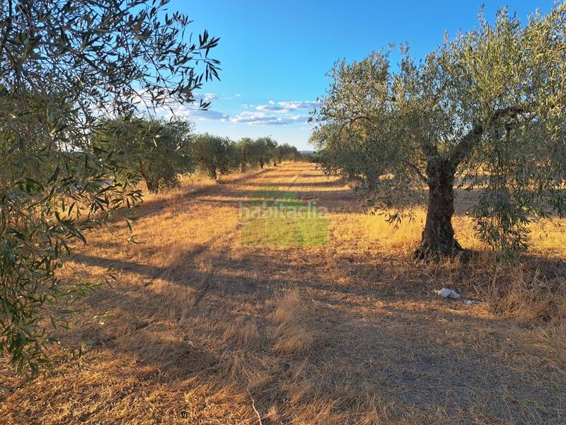 Foto 037c7e09-8c4e-405a-a3c6-bae064cf37f3. Wohngrundstück in Montijo