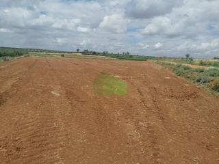 Terreno residencial en Montijo. Venta de tierra de regadio en montijo.