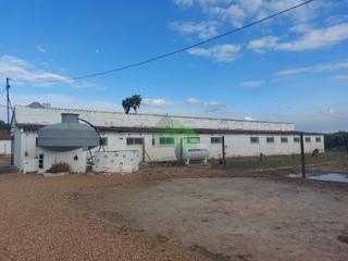 Fabrikhalle in Puebla de la Calzada. N76 se vende explotación avícola en  actividad, 4 naves  cochera