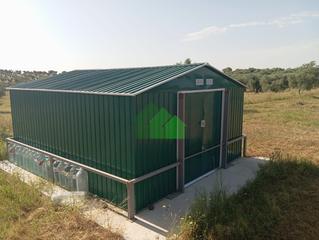 Terreno residencial en Montijo. T566 terreno de secano plantado de olivos con nave de aperos. lo