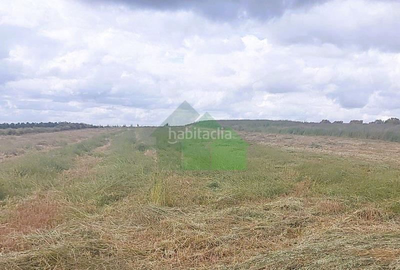 Foto 2cc2e7eb-6f66-4851-9295-1a962d9b0a24. Terreno residencial t569 venta de terrano cercano a . en Montijo