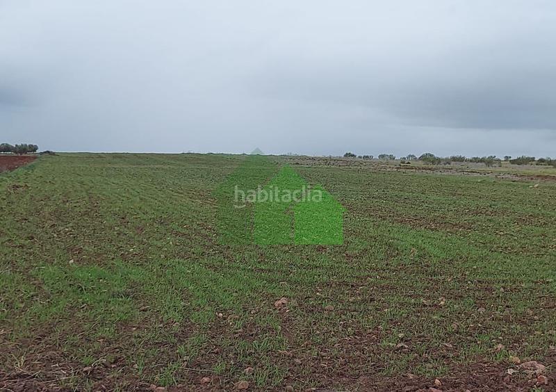 Foto 555c352a-9a0c-4d18-a7d1-7cdb87b62c1c. Terreno residencial t569 venta de terrano cercano a . en Montijo