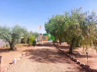 Chalet en Montijo. C1008 venta de casa de campo con olivos en los arenales montijo.