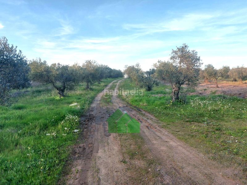 Foto 1676d2a1-af24-416d-86ac-25e92940c700. Xalet amb piscina a Montijo