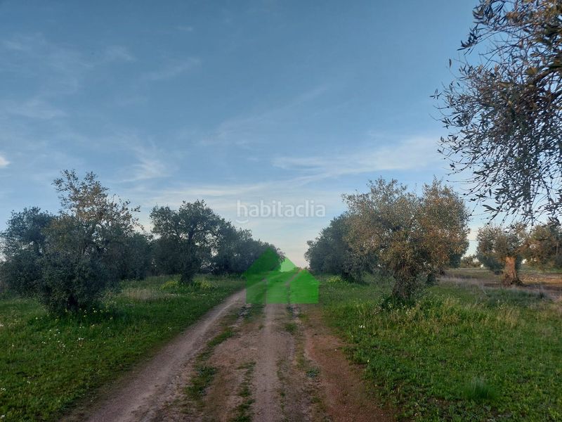 Foto 219889f1-469c-4343-bc22-4d933b0cf5c2. Xalet amb piscina a Montijo