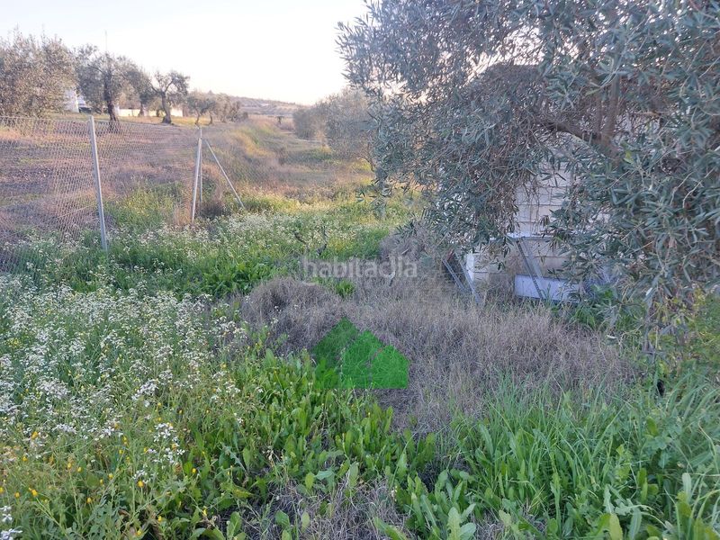 Foto 21b6fb5d-fafd-4e62-87be-48f5d910ea5f. Xalet amb piscina a Montijo