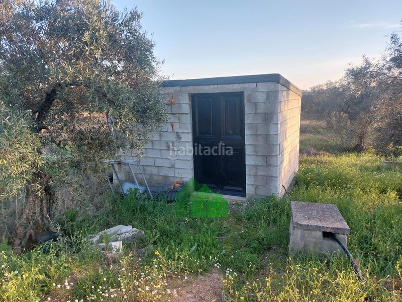 Foto 4f04ab8d-7357-4535-ad38-ff4c0b7d1ab8. Xalet amb piscina a Montijo