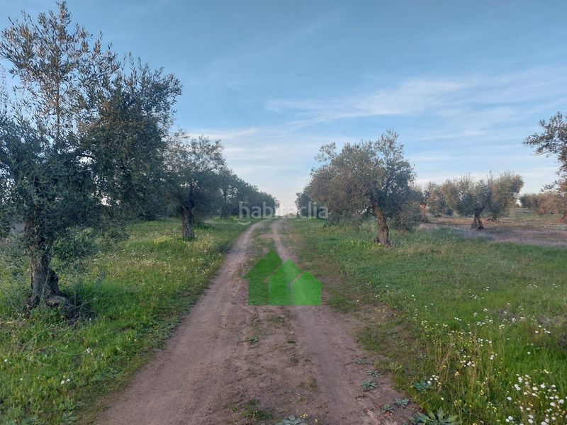 Foto 63b32bca-5639-4364-a56a-8898ddc9cb60. Xalet amb piscina a Montijo