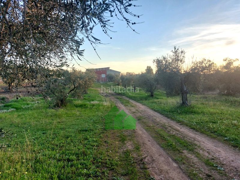 Foto ae0c74d1-012a-4796-a21a-918ef5e54d7b. Xalet amb piscina a Montijo