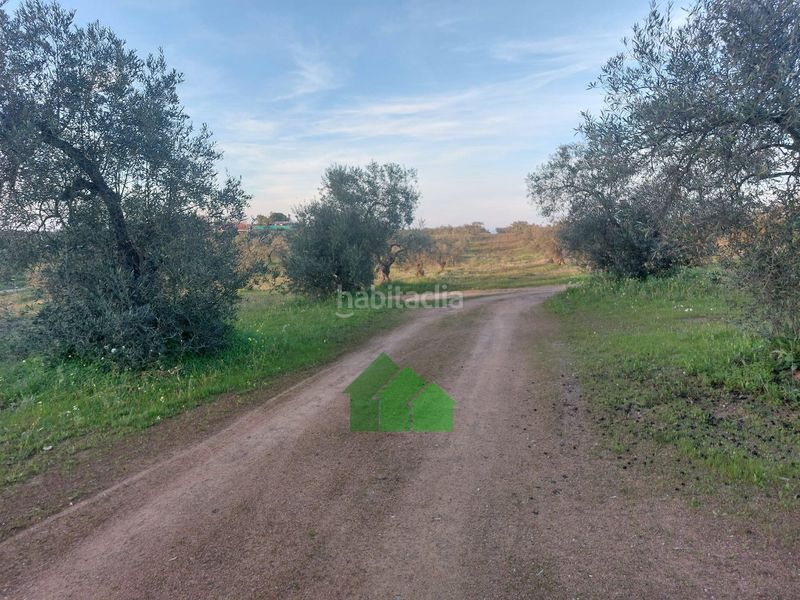 Foto b48beb93-a966-4658-a712-5ddf86c06348. Xalet amb piscina a Montijo