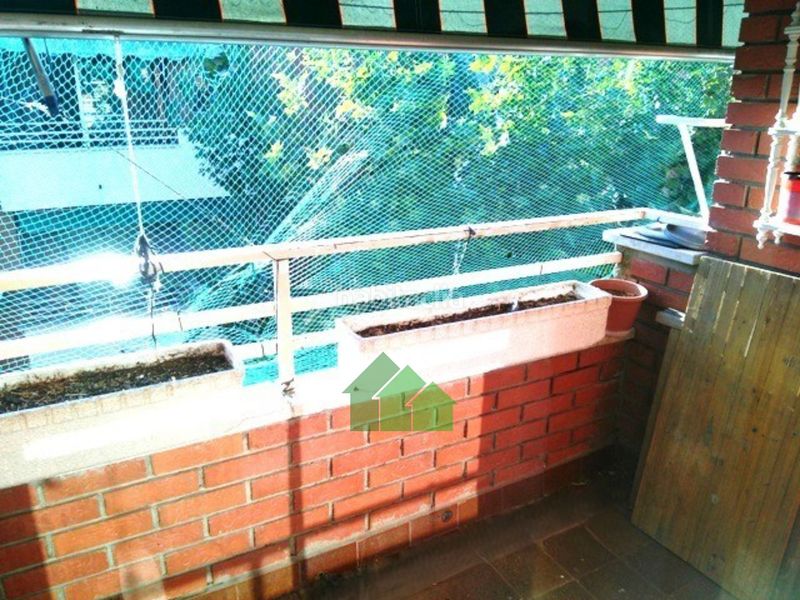 Foto 2fa4743c-826d-4d0f-ab9a-bed5c5825fed. Pis a Montijo