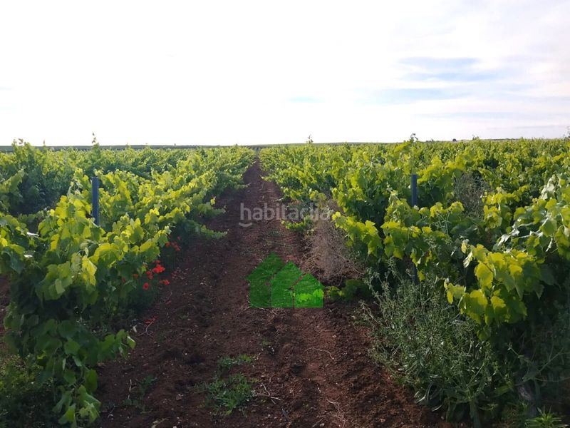 Foto 030c3598-0646-4772-96c4-5fbe7c1f0b9b. Terreny residencial a Montijo