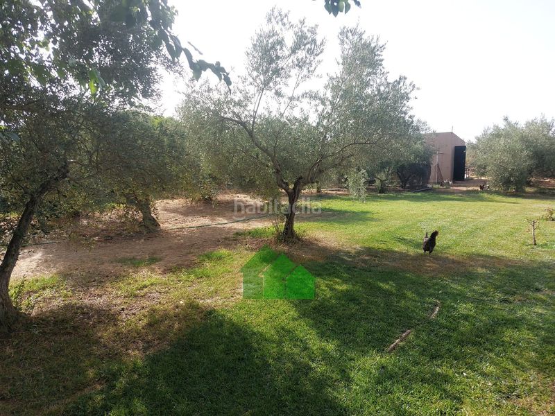 Foto 7009fae0-261b-4fe8-8ab2-bd837a6e83d6. Xalet amb piscina a Torremayor