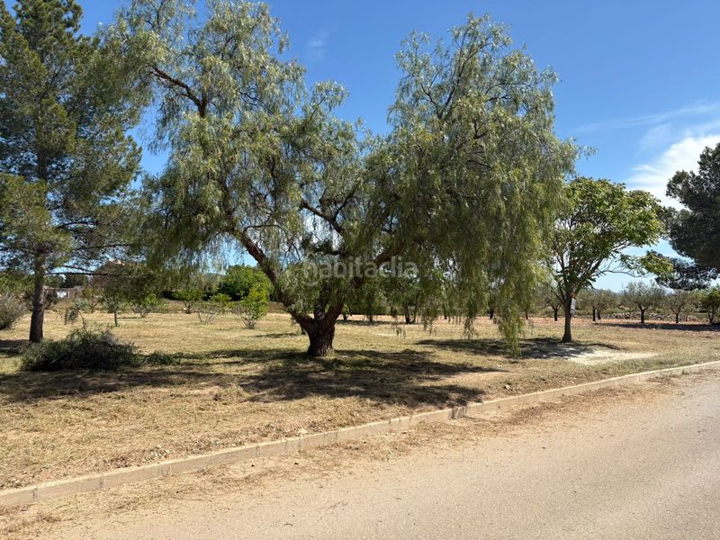Foto 0f79d668-e366-4169-8c0d-d23f71769a29. Residential plot in Pinoso