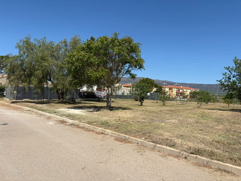 Foto 56caaabc-8b62-40c5-ac43-6a796d2c10a7. Residential plot in Pinoso