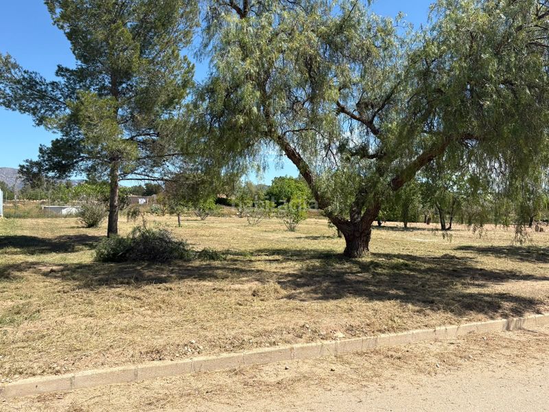 Foto 81f5f822-abd5-4e6b-aa1e-b2f13f65f74d. Residential plot in Pinoso