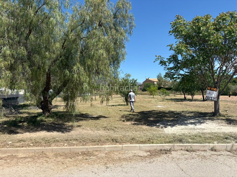 Foto 8ef27262-52b7-4a22-85f7-90bf219fb7ad. Residential plot in Pinoso