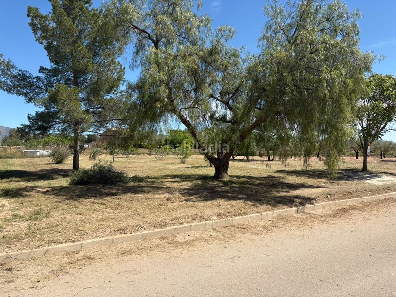 Foto c09cfb38-5f0e-4548-9cac-e4f8c9650dd2. Residential plot in Pinoso