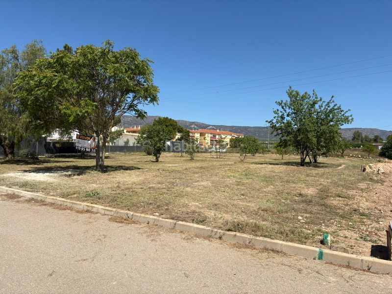 Foto ea0054c5-b7f6-46cd-b88d-4d130bbfaa90. Residential plot in Pinoso