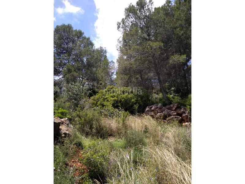 Foto 0e52c07a-3809-4c30-806d-e63347928ad9. Wohngrundstück in urb penyal dels toçals 1 in Potríes