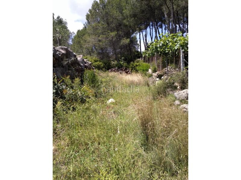 Foto 23caa883-bbdc-47c8-a9b7-395e2b0a5b66. Wohngrundstück in urb penyal dels toçals 1 in Potríes