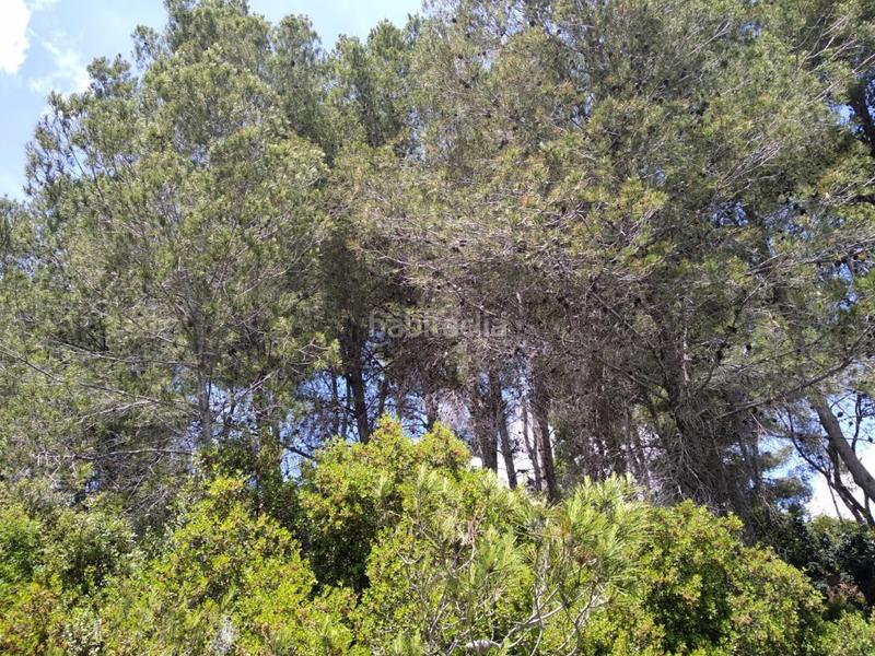 Foto 6487dc0e-62a9-4d30-ae0a-8f809bfda801. Wohngrundstück in urb penyal dels toçals 1 in Potríes